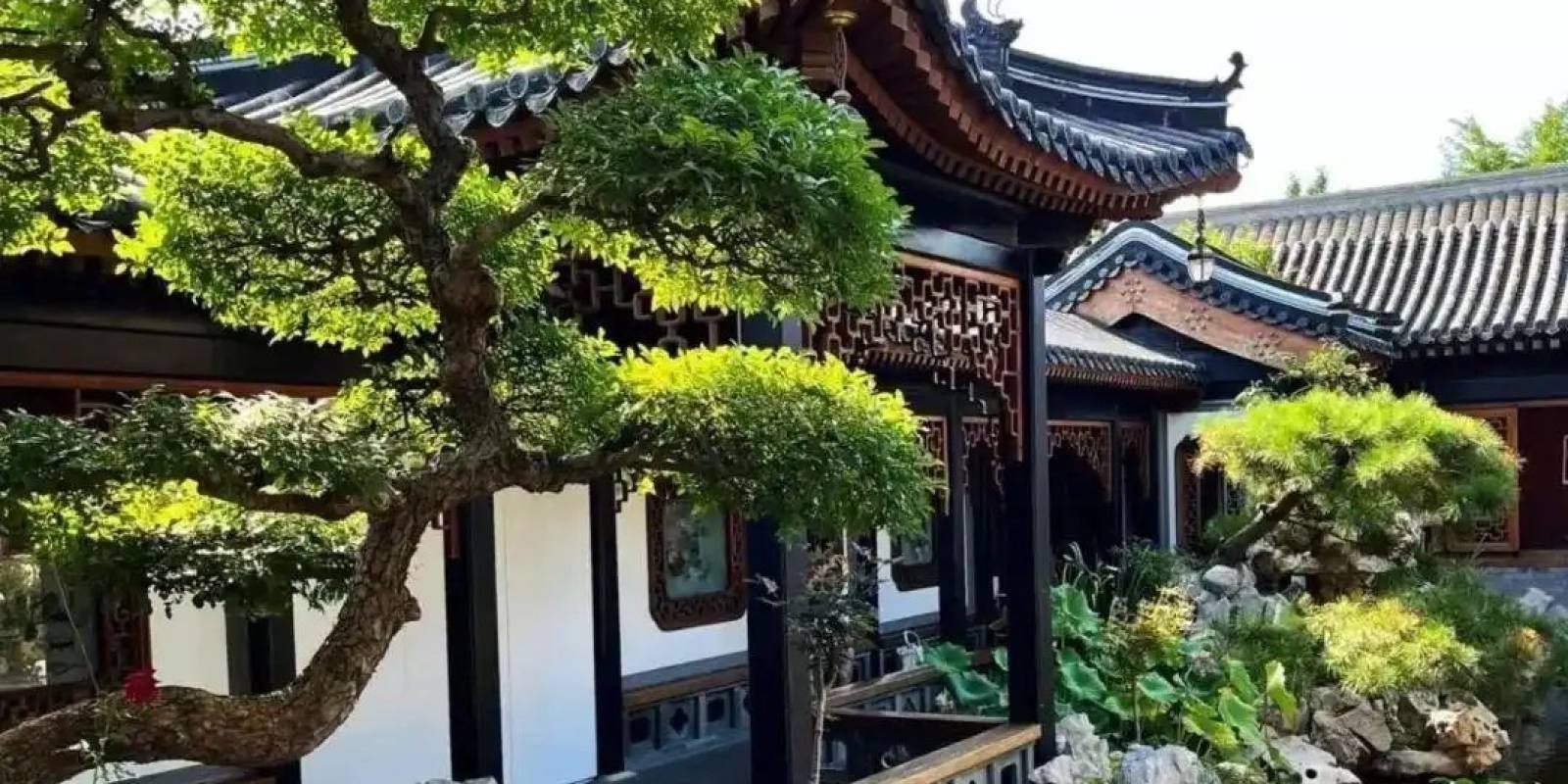 悟空体育首页主视觉，赛事数据与直播画面