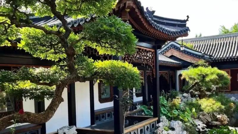 奥运会奖牌榜怎么看？排名规则与查询方法一次讲清